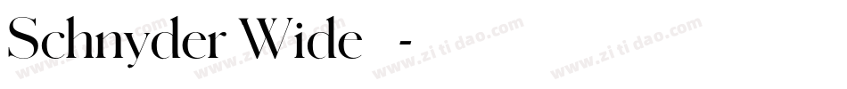 Schnyder Wide 字体字体转换